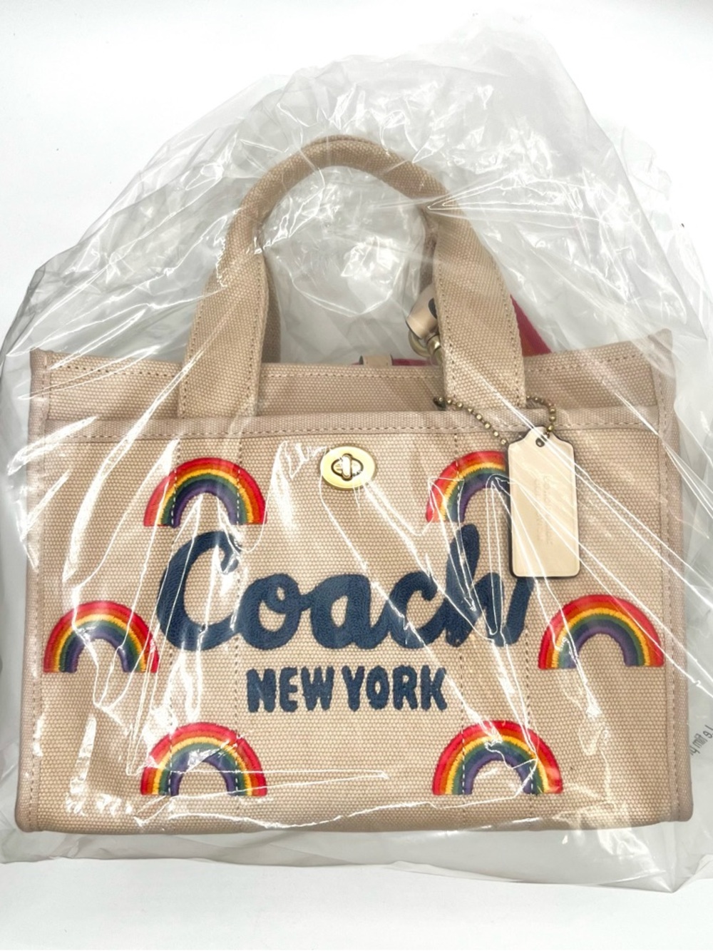 Coach Rainbow Embroidered Cargo Tote 26 - NWT - Picture 2 of 11